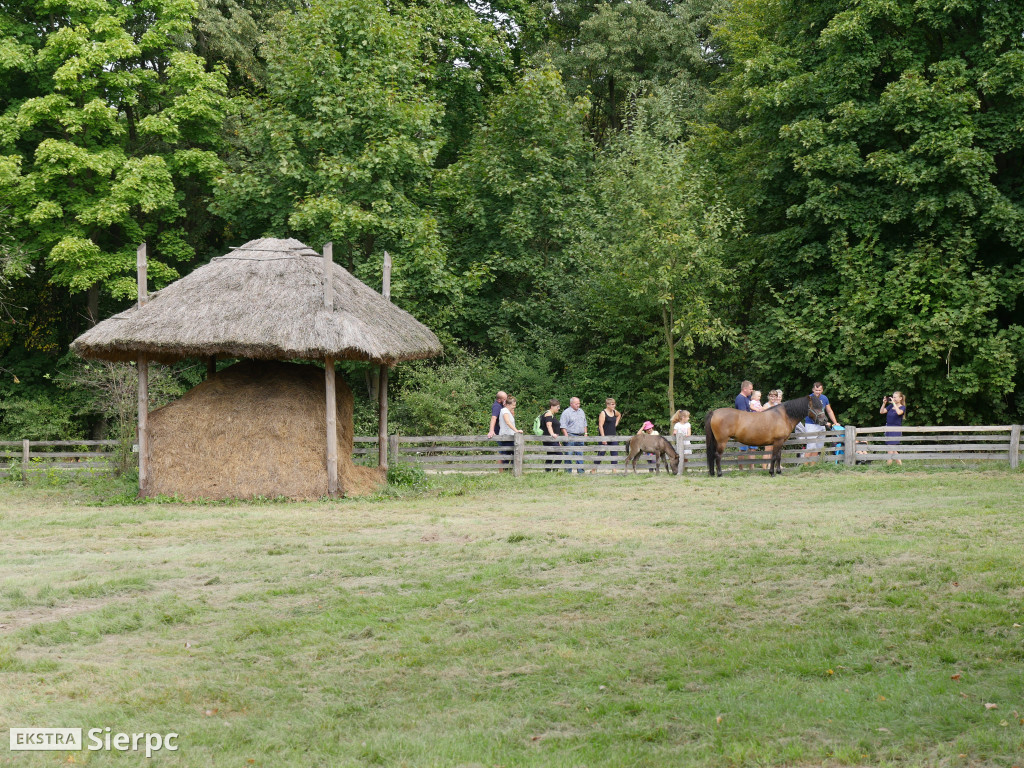 Wykopki w skansenie
