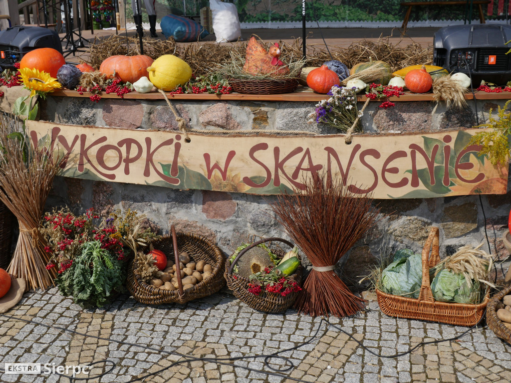 Wykopki w skansenie