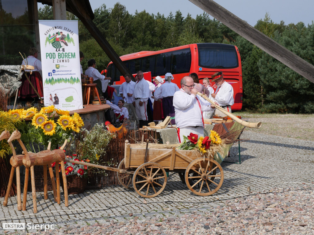 Wykopki w skansenie