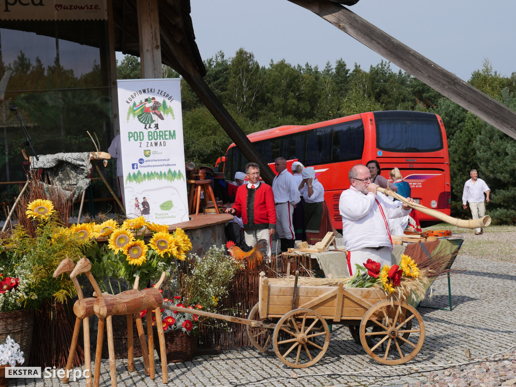 Wykopki w skansenie