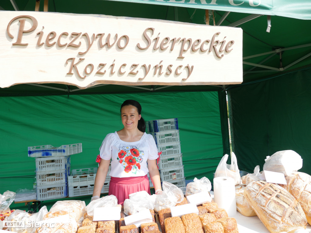 Wykopki w skansenie
