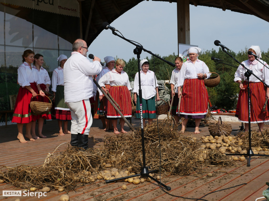 Wykopki w skansenie