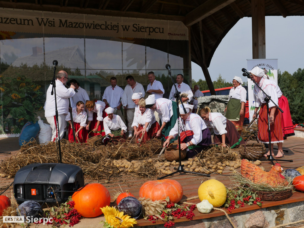 Wykopki w skansenie
