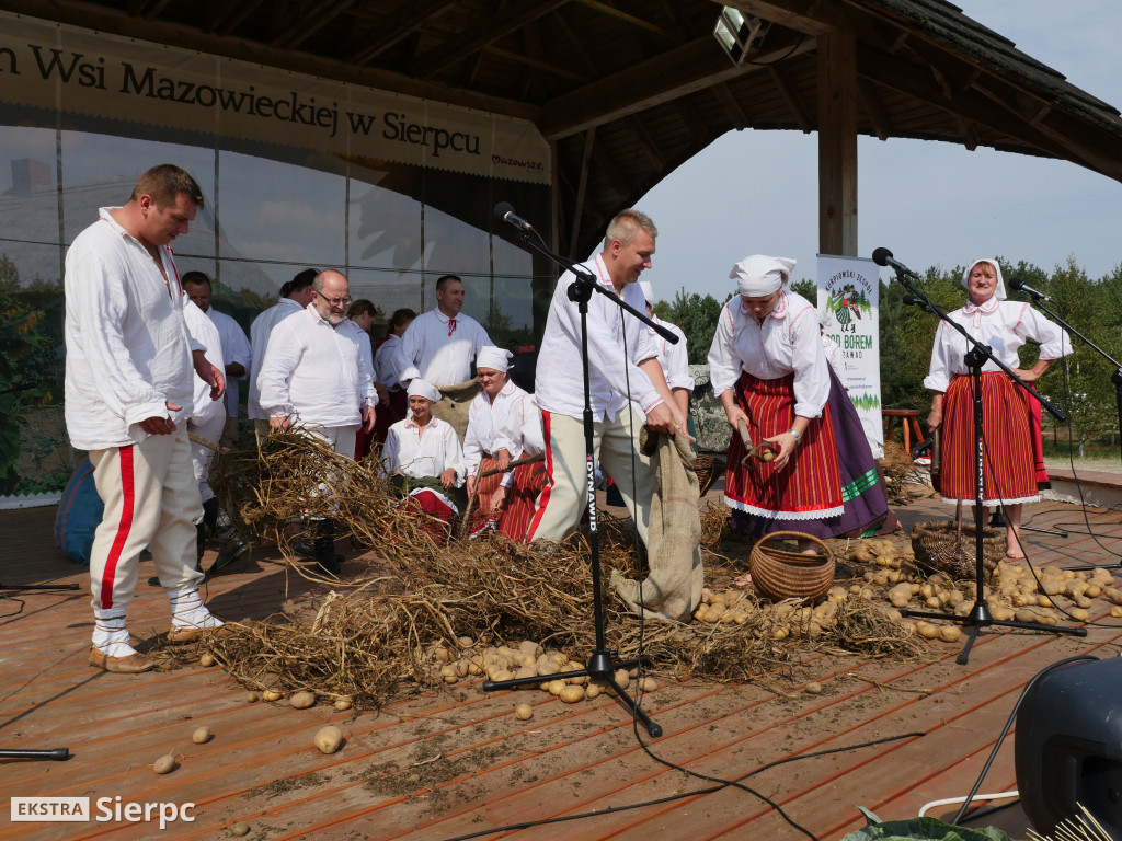Wykopki w skansenie
