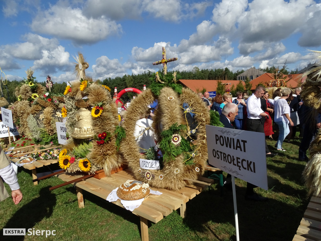 Mazowieckie Dożynki w Sierpcu