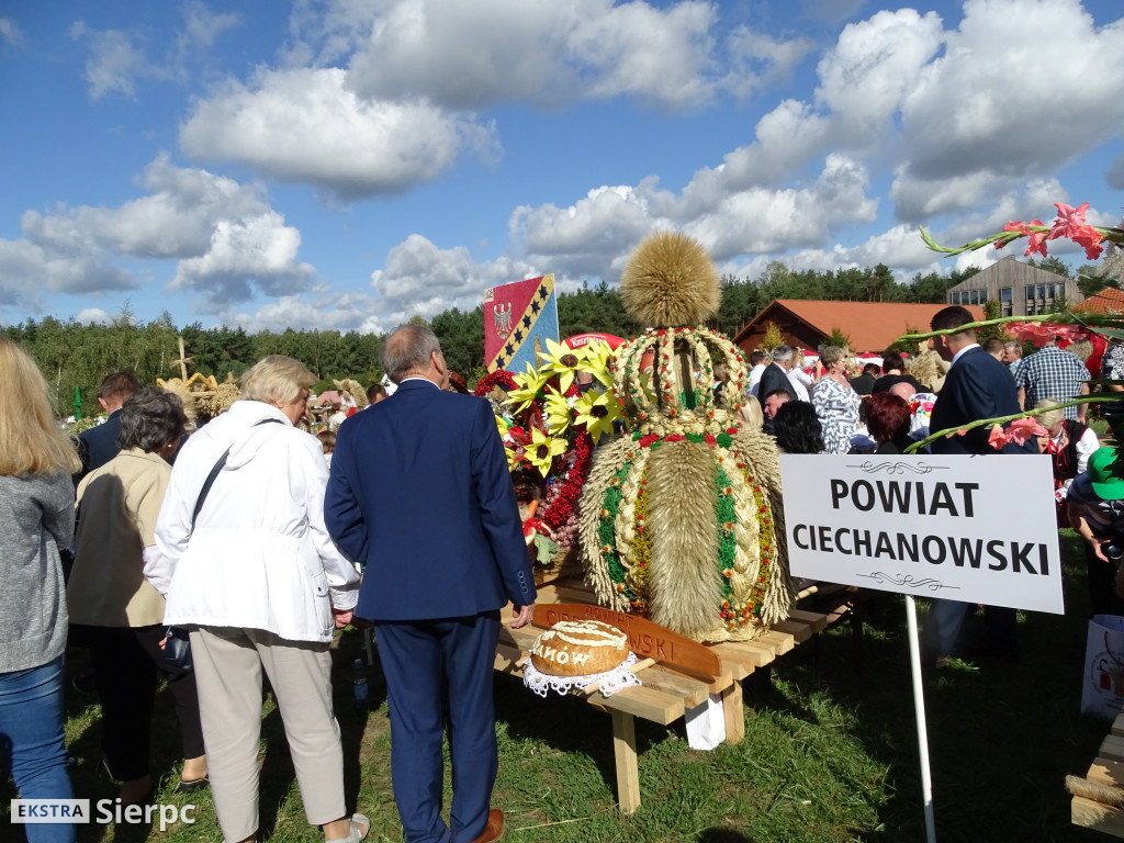 Mazowieckie Dożynki w Sierpcu