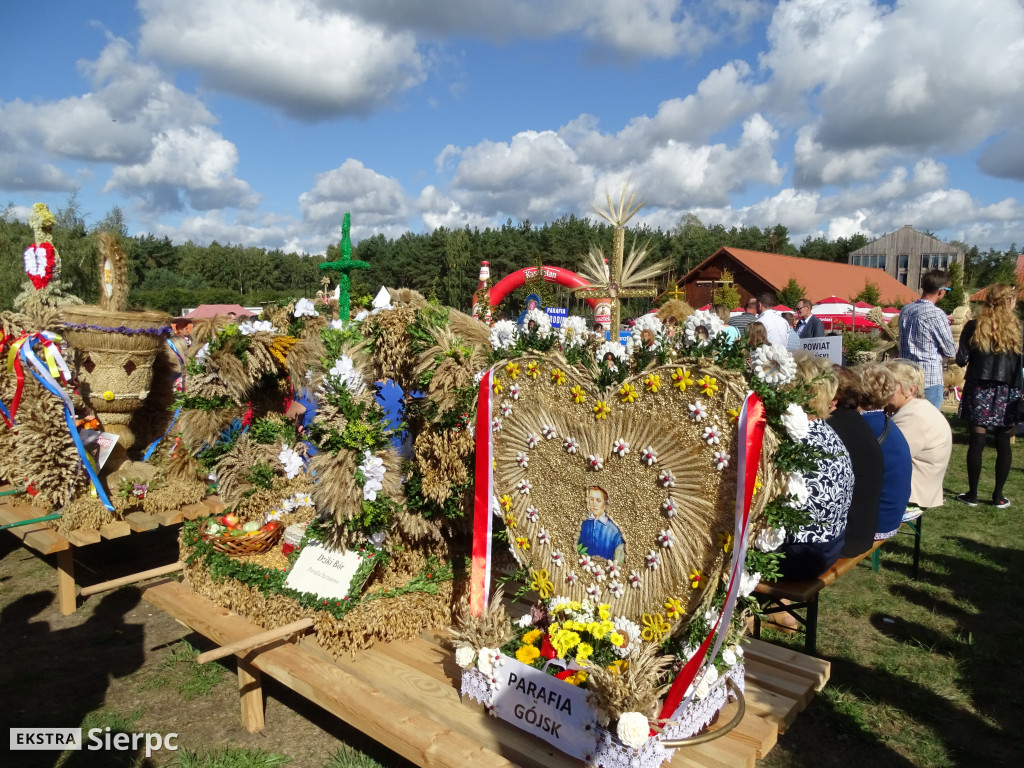 Mazowieckie Dożynki w Sierpcu