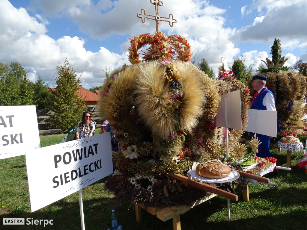 Mazowieckie Dożynki w Sierpcu