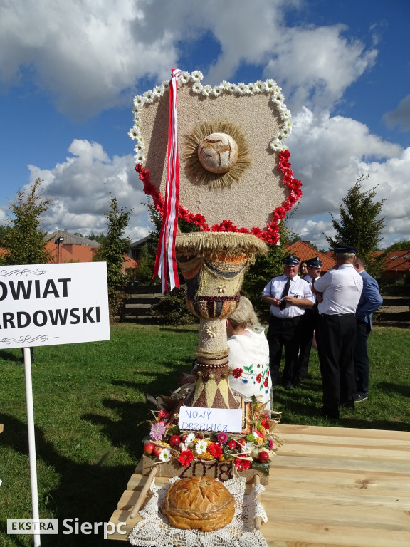 Mazowieckie Dożynki w Sierpcu