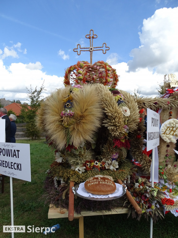 Mazowieckie Dożynki w Sierpcu