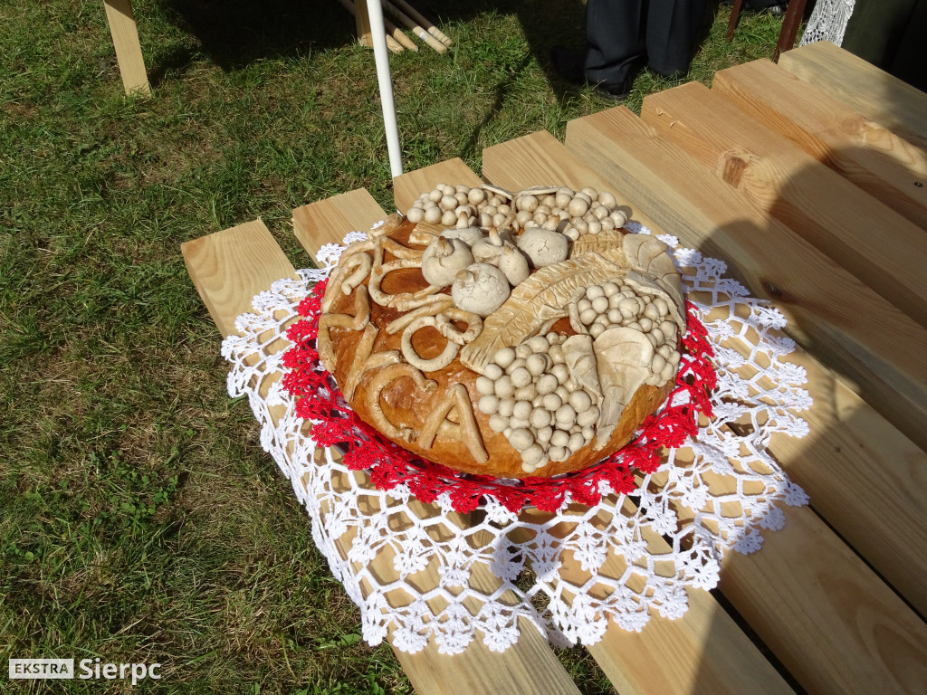 Mazowieckie Dożynki w Sierpcu