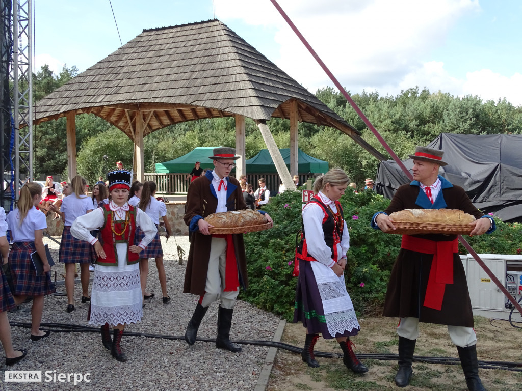 Mazowieckie Dożynki w Sierpcu