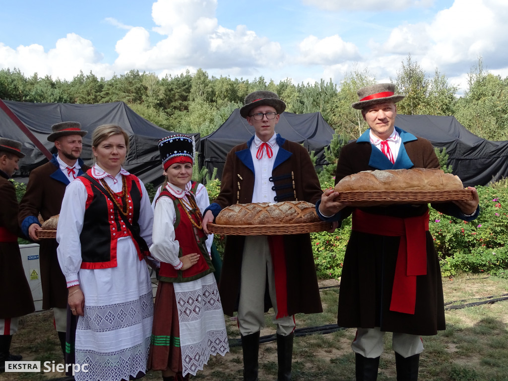 Mazowieckie Dożynki w Sierpcu