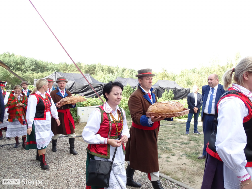 Mazowieckie Dożynki w Sierpcu