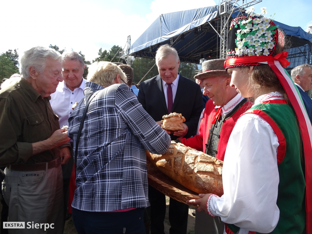 Mazowieckie Dożynki w Sierpcu