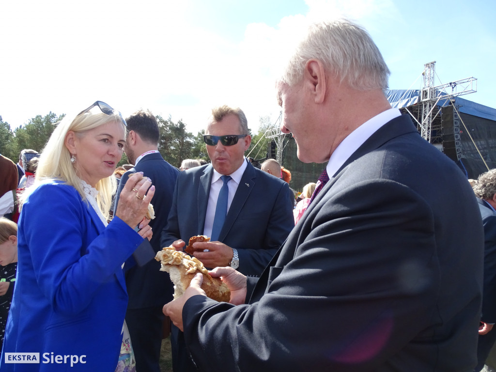 Mazowieckie Dożynki w Sierpcu