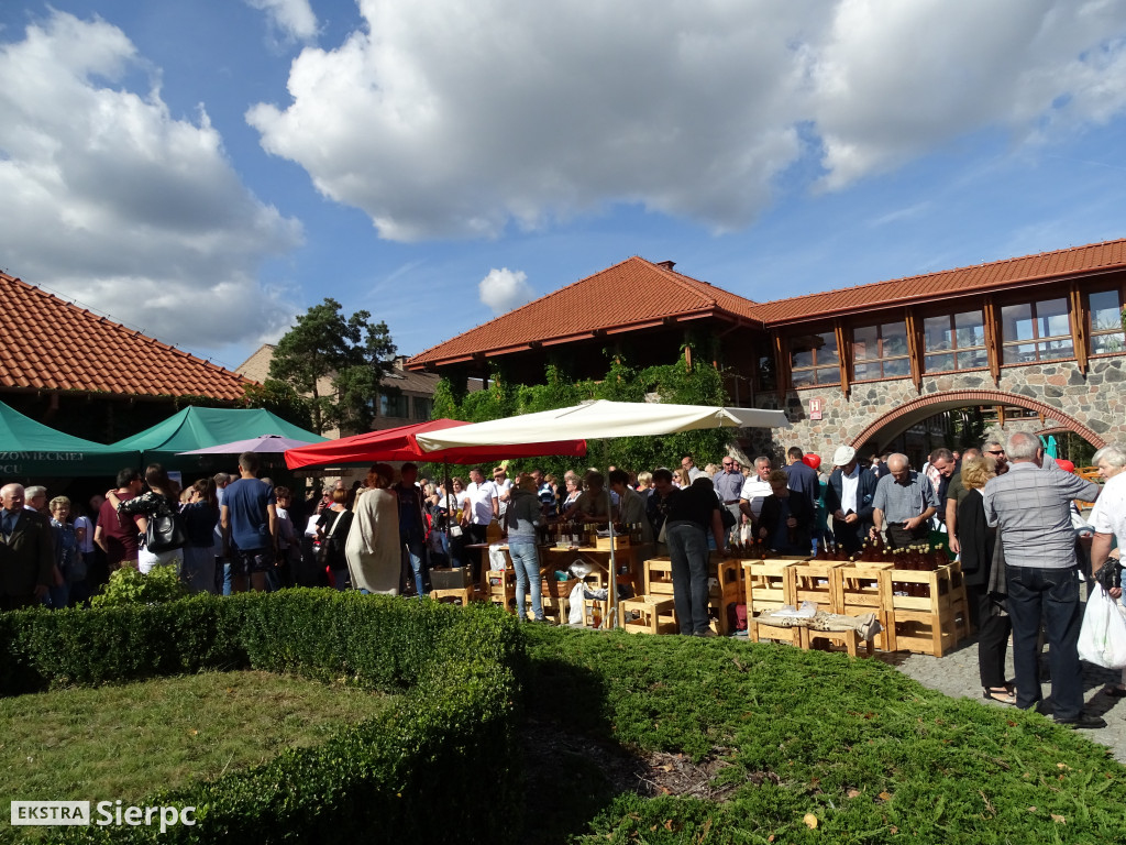 Mazowieckie Dożynki w Sierpcu