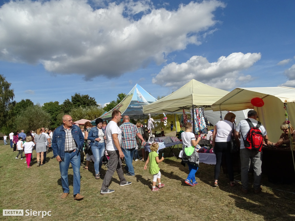 Mazowieckie Dożynki w Sierpcu