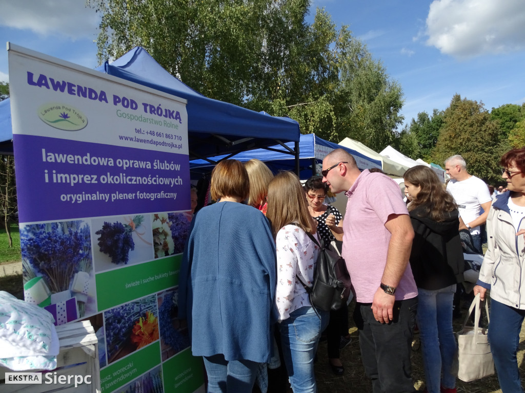 Mazowieckie Dożynki w Sierpcu