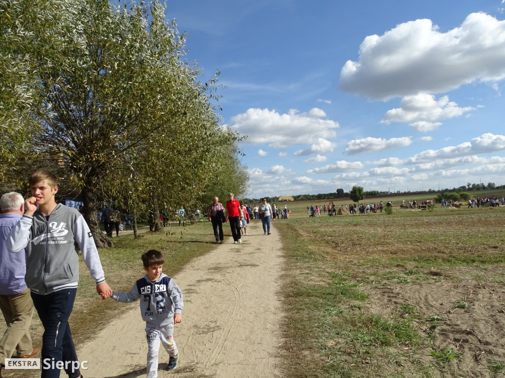 Mazowieckie Dożynki w Sierpcu