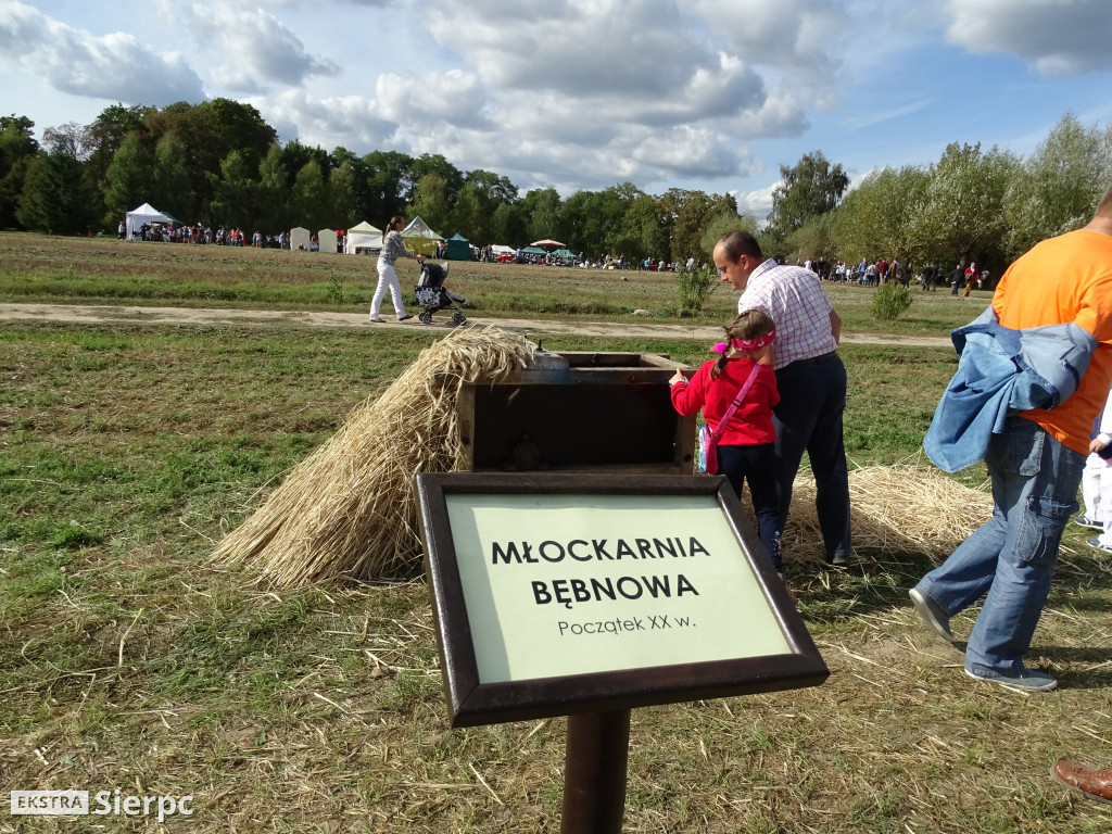 Mazowieckie Dożynki w Sierpcu