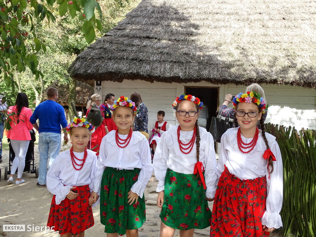 Mazowieckie Dożynki w Sierpcu