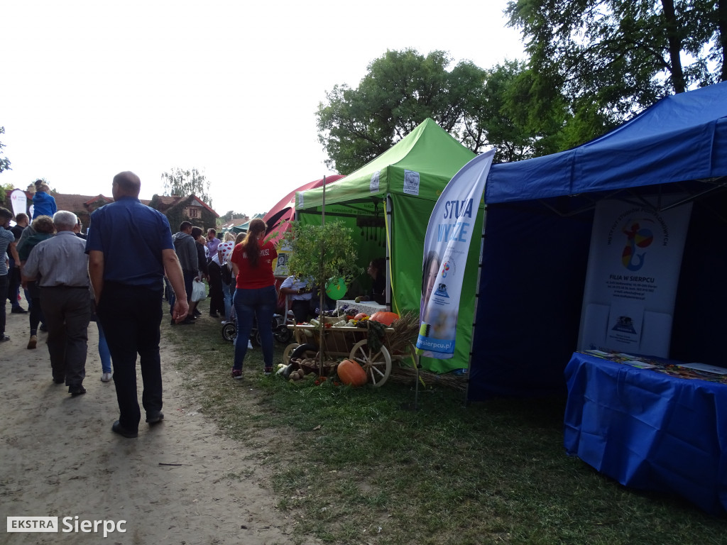 Mazowieckie Dożynki w Sierpcu