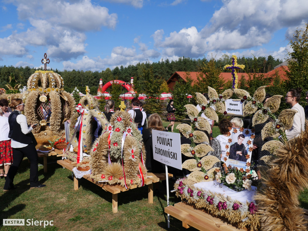 Mazowieckie Dożynki w Sierpcu