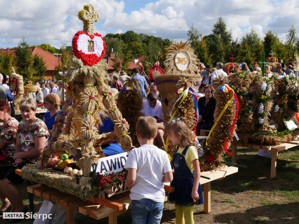 Mazowieckie Dożynki w Sierpcu