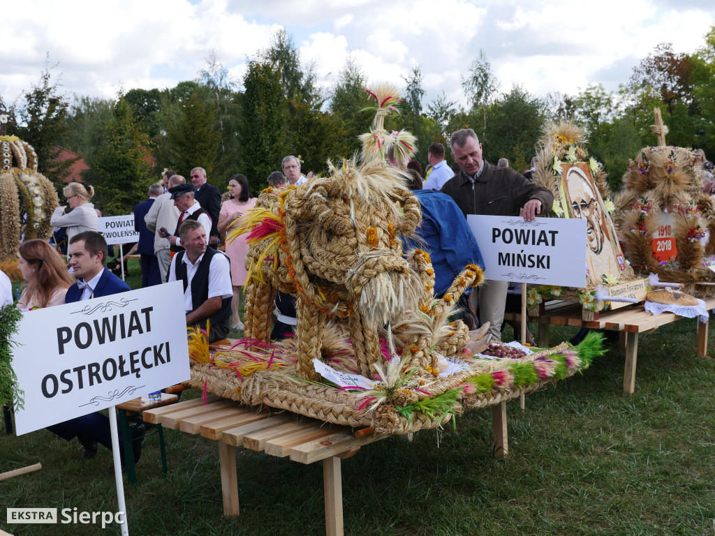 Mazowieckie Dożynki w Sierpcu