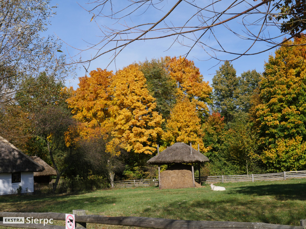 Jesień w skansenie