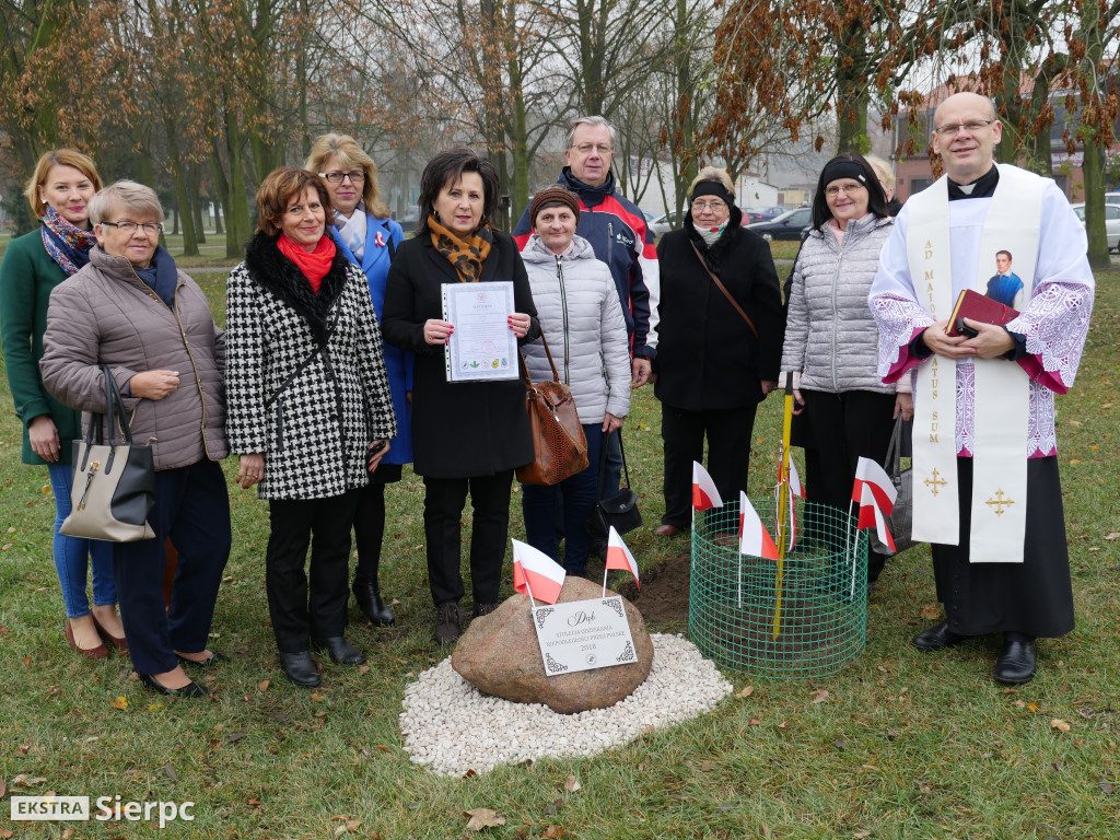 Dąb stulecia na placu Chopina
