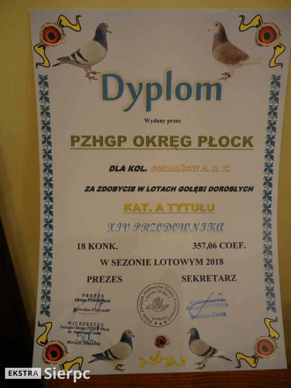 Wystawa Gołębi Pocztowych