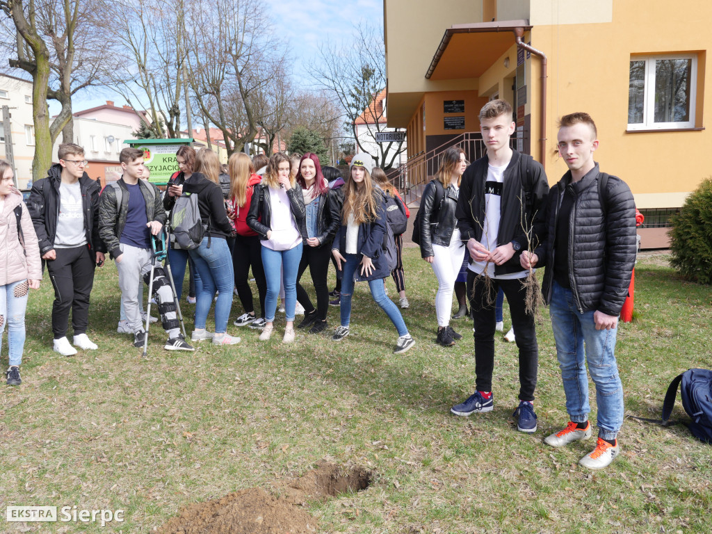 Pamięci Bronisława Chojnackiego