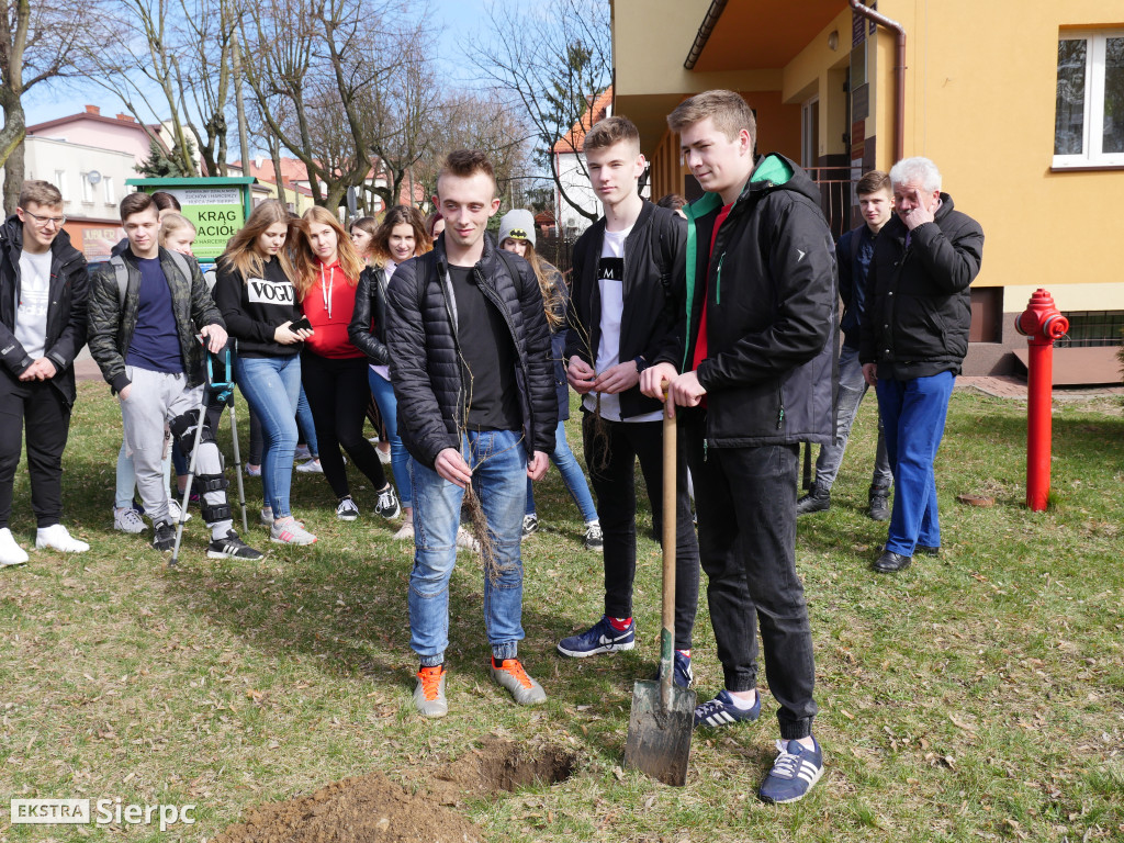 Pamięci Bronisława Chojnackiego