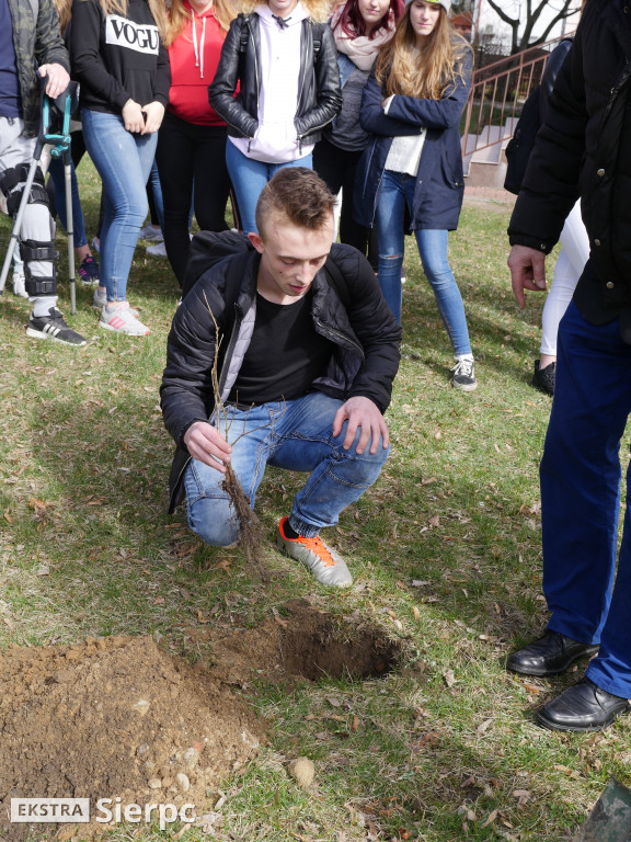 Pamięci Bronisława Chojnackiego