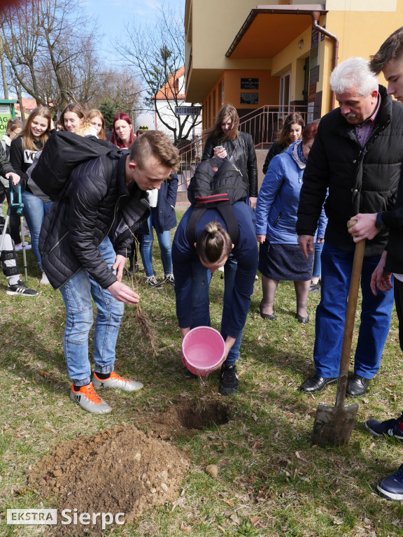 Pamięci Bronisława Chojnackiego