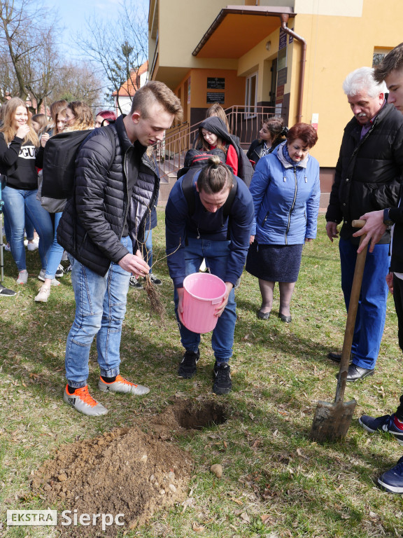 Pamięci Bronisława Chojnackiego