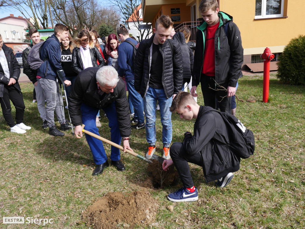 Pamięci Bronisława Chojnackiego