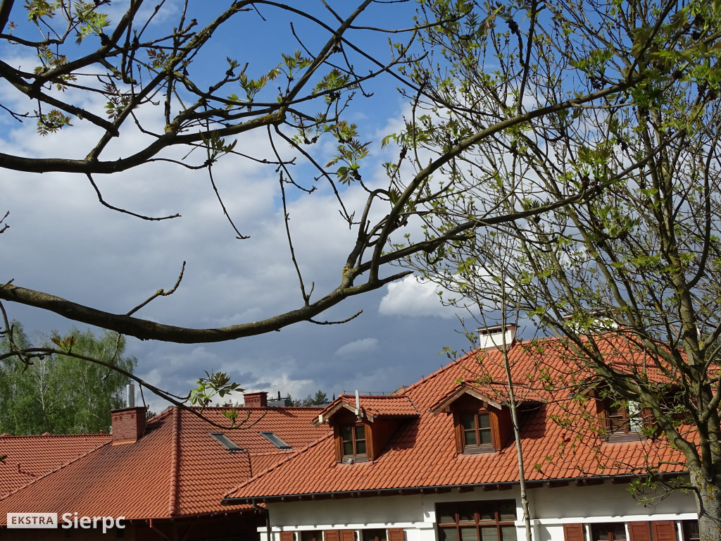 Majówka w sierpeckim skansenie