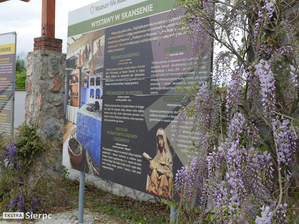 Majówka w sierpeckim skansenie