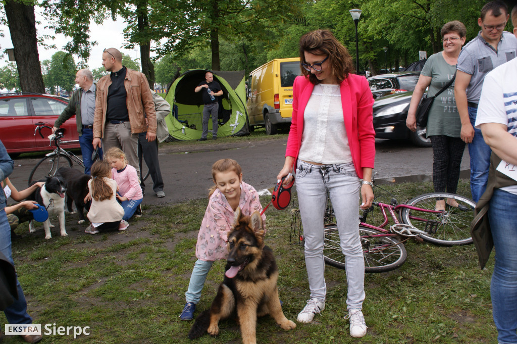 Wystawa psów rasowych