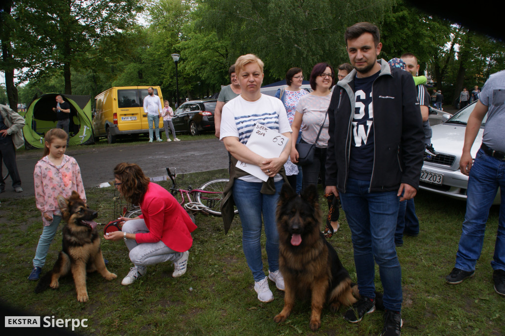 Wystawa psów rasowych