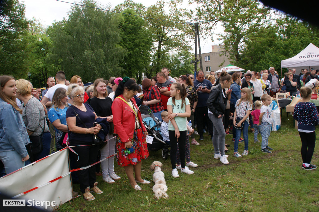 Wystawa psów rasowych