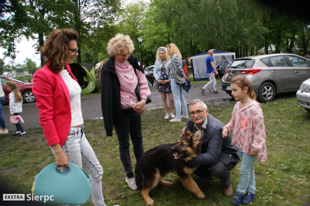 Wystawa psów rasowych