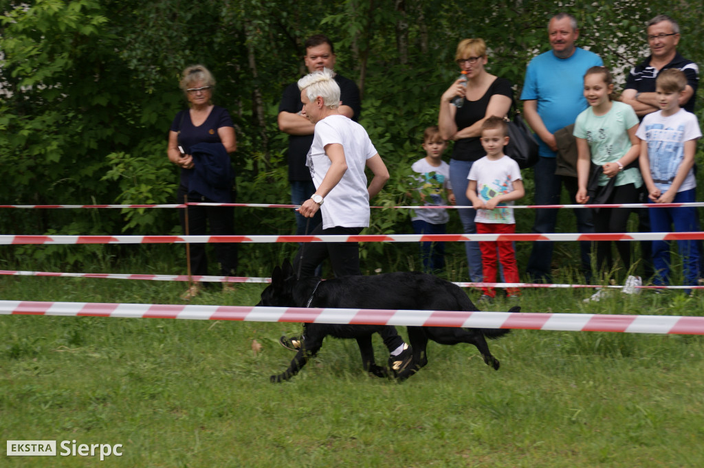 Wystawa psów rasowych