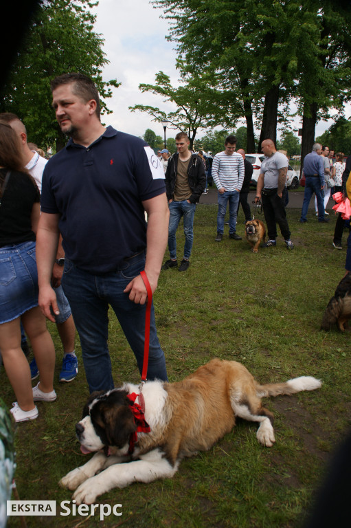 Wystawa psów rasowych