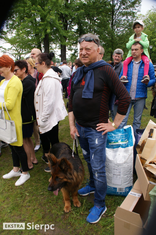 Wystawa psów rasowych