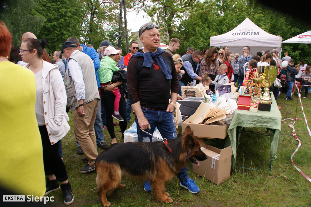 Wystawa psów rasowych