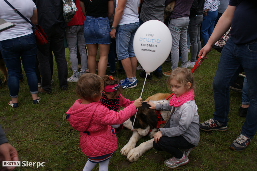 Wystawa psów rasowych